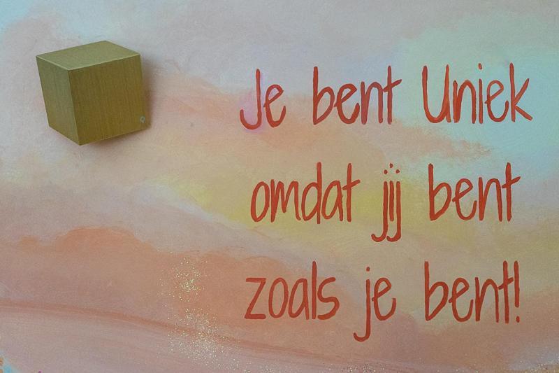 Nieuw: Kom In De Bedstee Uniek! ウィンタースウェイク エクステリア 写真