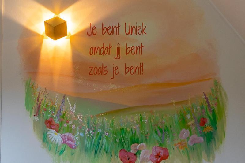 Nieuw: Kom In De Bedstee Uniek! ウィンタースウェイク エクステリア 写真